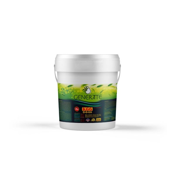 IMG_20240707_163357_615