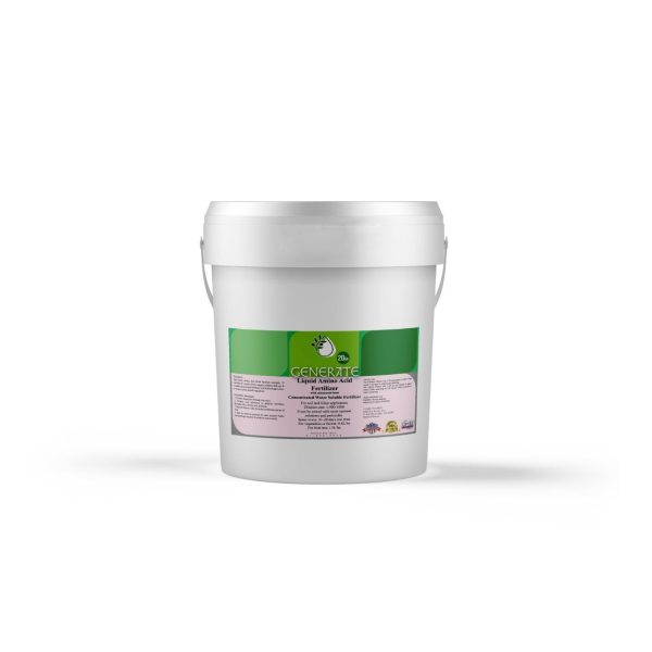 Amino Acid - Image 3