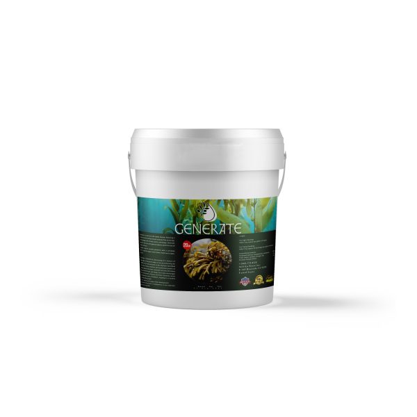 Sea weed extract - Image 3